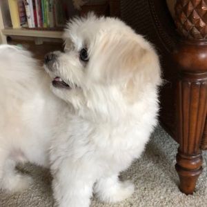 Meet your Posher, Beth